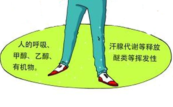 人體(ti) 也能釋放VOCs